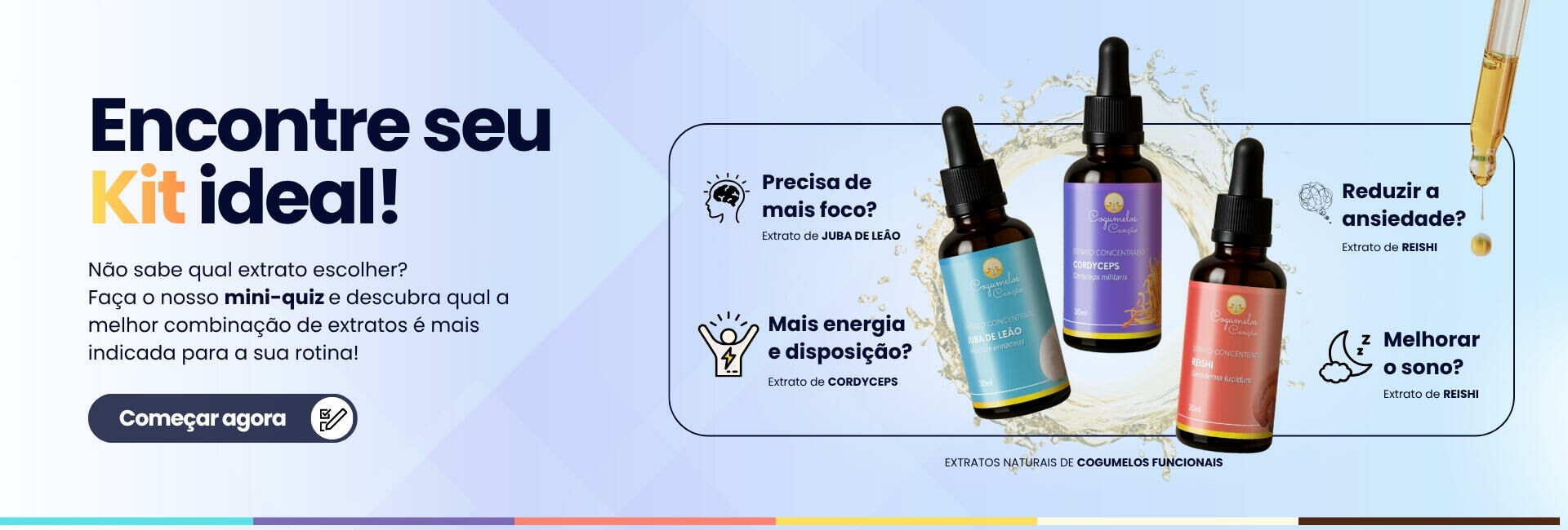 Banner Quiz - Cogumelos Canção